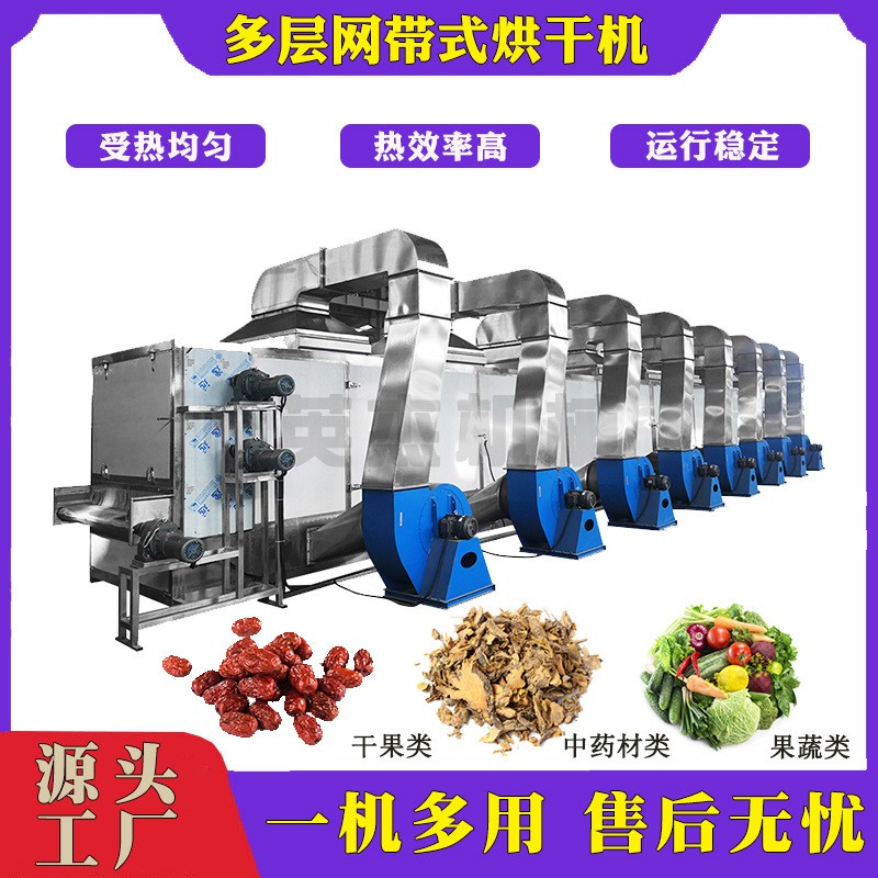 蔬菜包烘干生產線 洋蔥多層帶式干燥機 大蒜片網帶烘干機