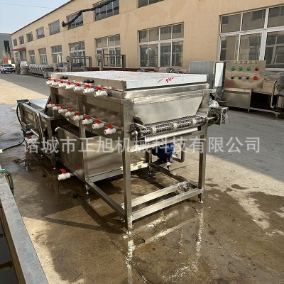 大姜高壓噴淋清洗機(jī) 地瓜紅薯洗泥沙清洗設(shè)備 蓮藕洗泥機(jī)