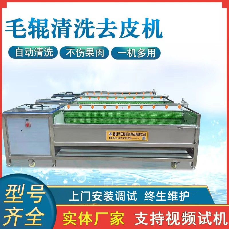 現貨土豆去皮機脫皮機 9根木薯洋蔥去皮機 毛刷毛輥清洗機