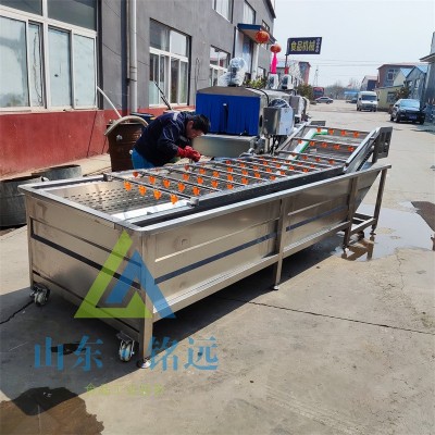 小米辣氣泡清洗機多功能噴淋洗菜流水線果蔬氣泡清洗機藥材清洗機