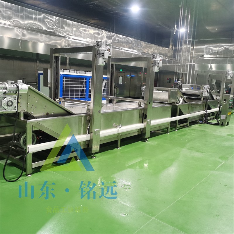 圣女果氣泡清洗設(shè)備豆角洗菜設(shè)備檸檬氣泡清洗機(jī)大棗山楂清洗設(shè)備