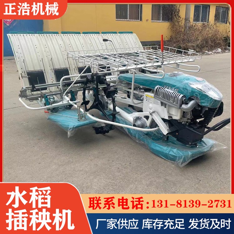汽油款小型水稻插秧機(jī) 水稻秧苗插秧種植機(jī) 正浩