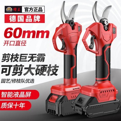 鋰電剪刀剪樹枝專用修剪樹枝藝園修花綠化綠籬園藝剪園林大修枝剪