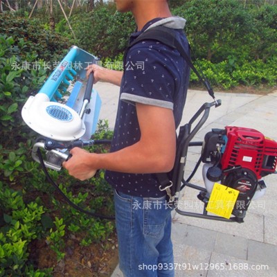 背負(fù)式單人采茶修剪機(jī)全新安全耐用摘茶機(jī)收茶機(jī)實(shí)林業(yè)剪茶機(jī)綠籬