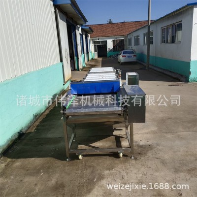 速食下飯菜自動滅菌機 腌筍酸菜連續(xù)殺菌設備 開胃菜殺菌機偉澤