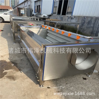 毛輥清洗機 不銹鋼蔬菜海鮮清洗加工設備 轉(zhuǎn)速可調(diào)生蠔清洗設備