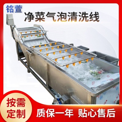 氣浴式海鮮果蔬清洗設備 中藥材氣泡清洗機 海帶翻浪式氣泡清洗機