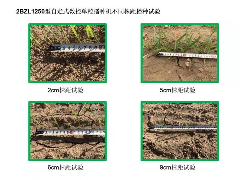 自走式數控單粒播種機(谷物類)