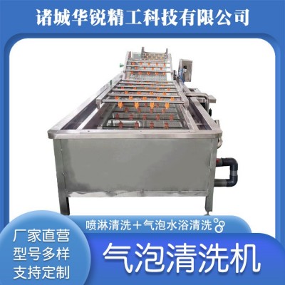 小型氣泡清洗機(jī) 果蔬氣泡清洗機(jī) 果蔬高壓噴淋清洗設(shè)備油菜清洗機(jī)