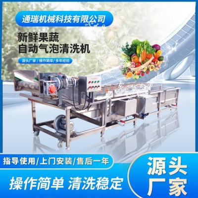 多功能氣泡清洗機 商用楊梅蔓越莓清洗機器 全自動噴淋氣泡清洗機