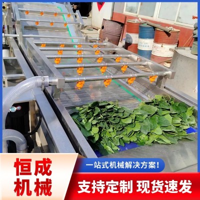 蔬菜水果氣泡清洗機胡蘿卜翻浪去泥清洗設備辣椒清洗線廠家優惠