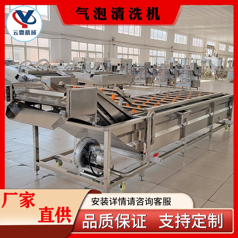 多功能氣泡清洗機(jī) 商用楊梅蔓越莓清洗機(jī)器 全自動(dòng)噴淋氣泡清洗機(jī)