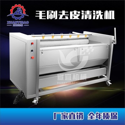 知母清洗機 全自動中草藥清洗機 毛輥式清洗機毛刷清洗機