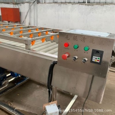大型海蠣子清洗機 平行式毛輥清洗機 多功能毛輥清洗流水線設備