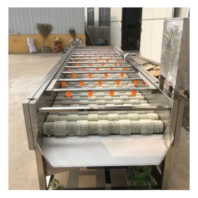 海蠣子毛刷清洗機(jī) 白蘿卜平行毛輥清洗機(jī) 牡蠣毛輥清洗設(shè)備