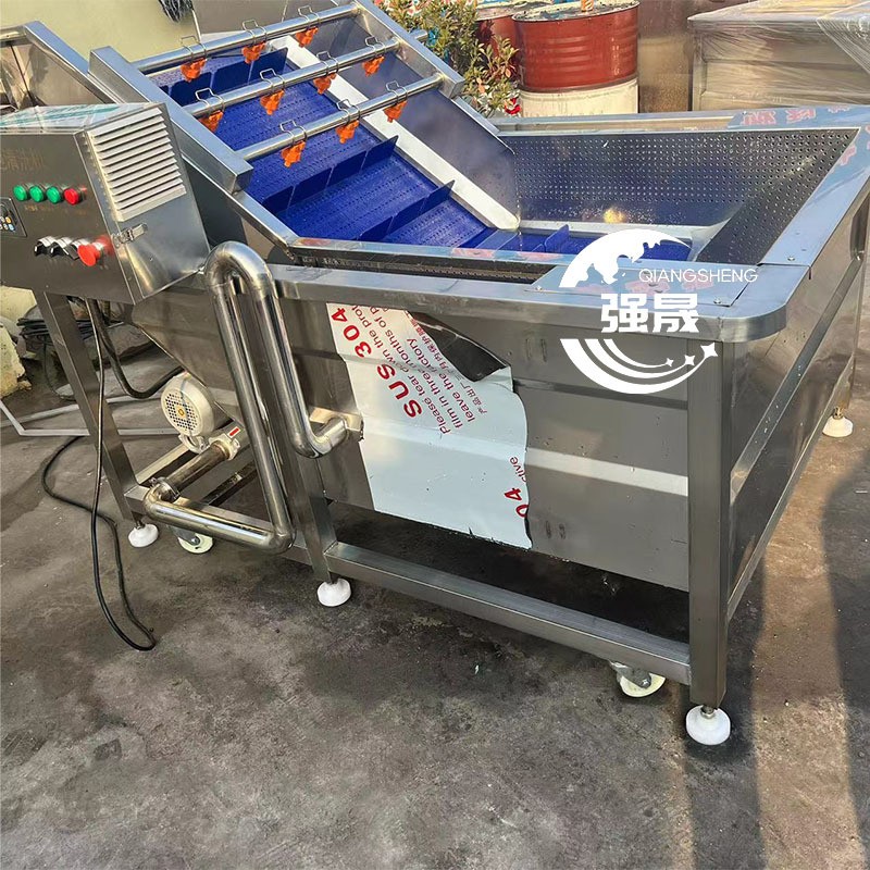 龍門提升式藥材清洗機 噴淋式丹參天冬去泥沙機 商用天麻清洗機