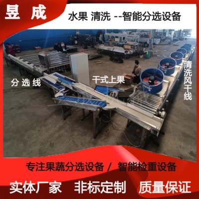 桃子柑橘清洗分選包裝設(shè)備 水果分級設(shè)備 選果分級機(jī) 自動選果機(jī)