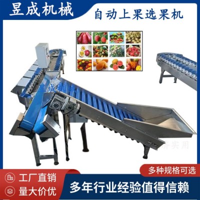 鮮食玉米重量分級輸送包裝 鮮食玉米加工生產(chǎn)線 自動選果機(jī)