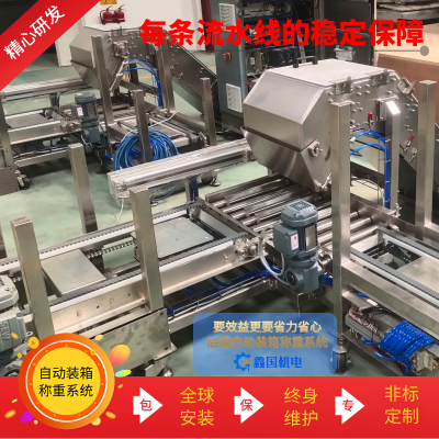自動稱重系統(tǒng)機械 生產線末端稱重裝箱設備 糖果食品加工通用裝置
