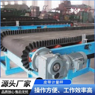 電子皮帶計量秤工廠供應 高精度電子皮帶秤稱重給煤機 計量皮帶秤