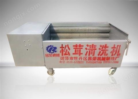 松茸清洗機(jī)11