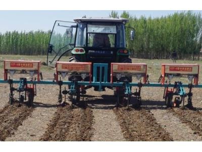 大博3ZF-6葵花中耕施肥機(jī)