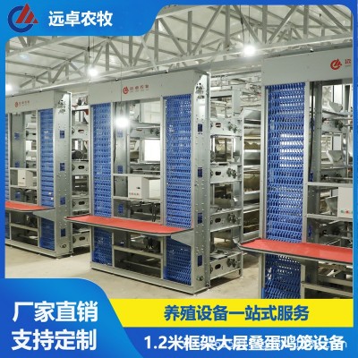 H型蛋鴨籠養殖設備 全自動撿蛋養雞場新疆石河子四層疊立體蛋雞籠