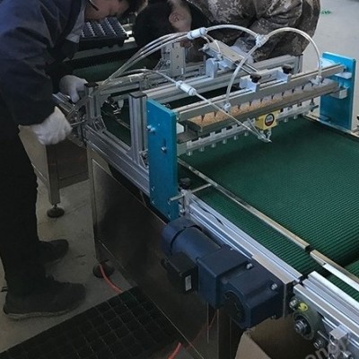 使用穴盤播種機脫盤和存放過程有哪些注意事項