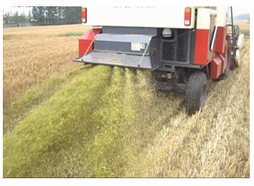 ff2a5546582236726d4e6b3404b0479