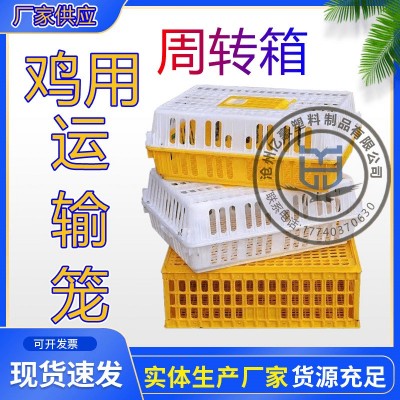 雞籠周轉箱塑料雞箱雞運輸籠周轉籠 鴿兔運輸籠 家禽周轉筐 雞筐
