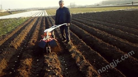 土豆開溝起壟機