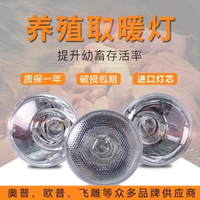 藍(lán)鳥養(yǎng)殖專用取暖燈小雞仔豬仔育雛獸用加熱烤燈設(shè)備加厚保溫?zé)襞?/></a>
<div><a href=