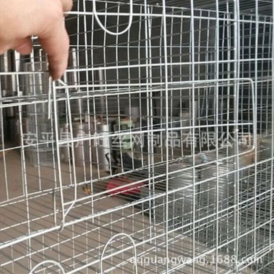廣旺絲網 鴿籠廠家 肉鴿籠 三層十二位鴿籠 鴿子籠批發