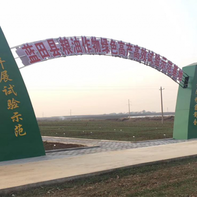 藍田縣糧油作物綠色高產高效實驗示范基地項目