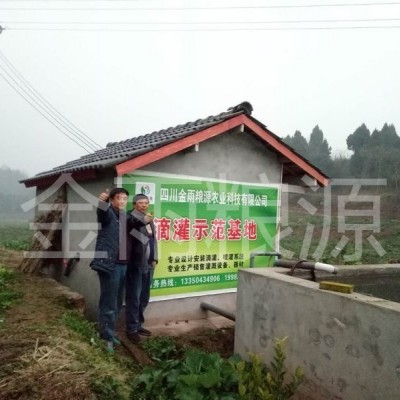 眉山·仁壽·柑橘滴灌（2018）二