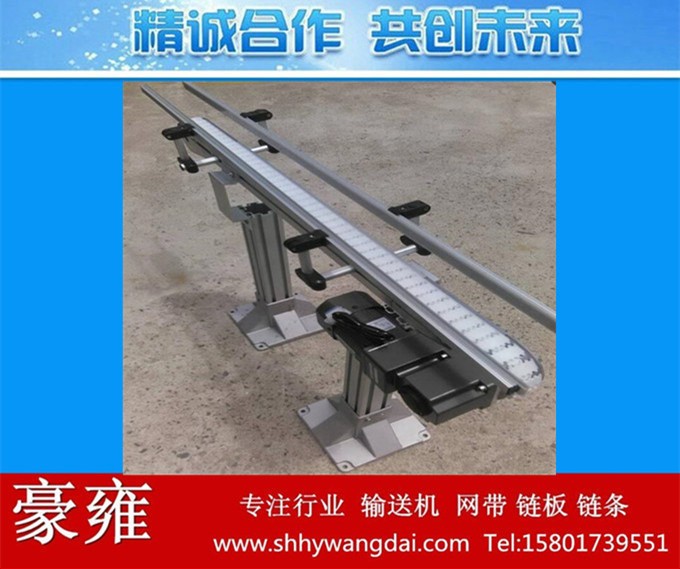 制作肉類食品傳送線 柔性輸送線 吹塑全自動化生產(chǎn)線 網(wǎng)鏈輸送機