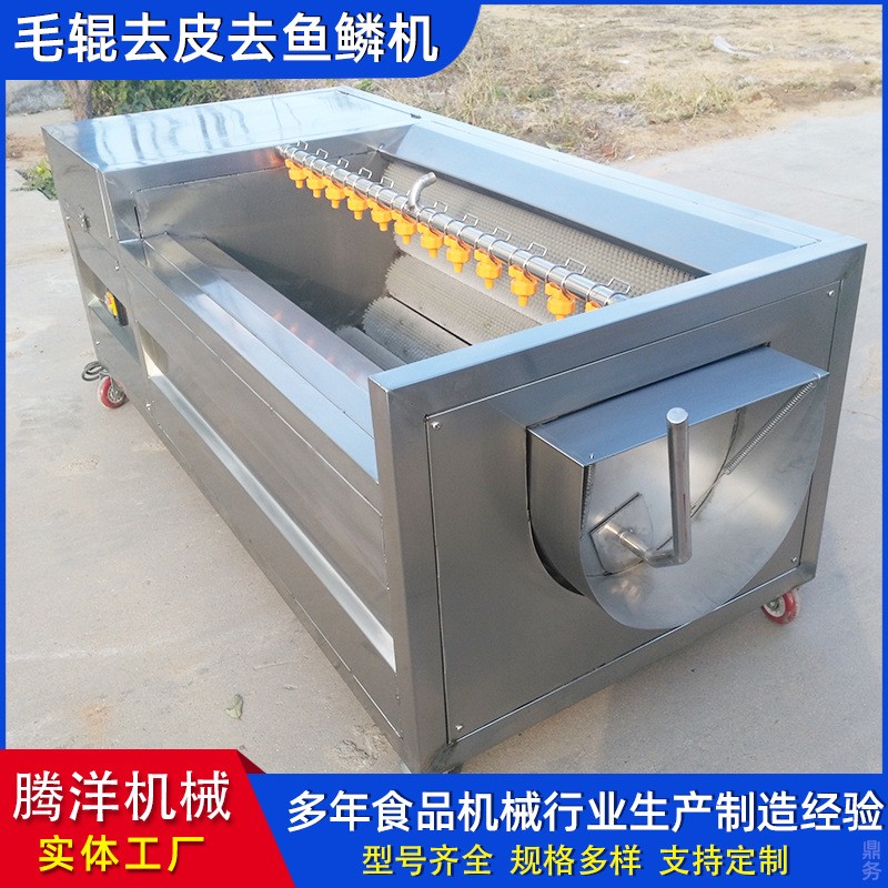 不銹鋼毛輥清洗去皮機 土豆果蔬去皮清洗機 羊頭羊蹄清洗機器