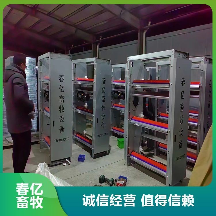 定制層疊式雞籠養(yǎng)殖設(shè)備 四層養(yǎng)雞場全自動蛋雞籠 源頭廠家