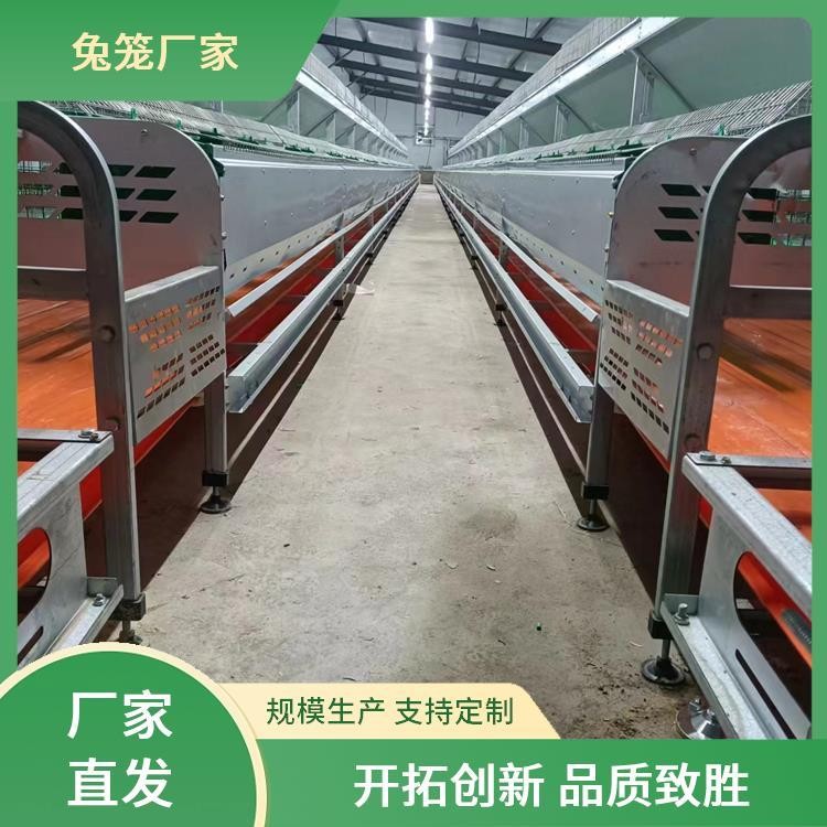 新勝順畜牧設(shè)備 提供種兔 肉兔子籠子 透光性好 提高產(chǎn)量