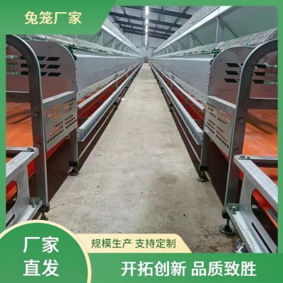 新勝順畜牧設備 提供種兔 肉兔子籠子 透光性好 提高產量