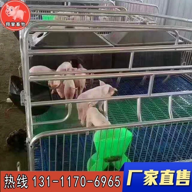 翔譽畜牧 新型歐式母豬產(chǎn)床 復(fù)合板仔豬保育床 小豬保育欄 豬籠養(yǎng)豬設(shè)備 器械母豬產(chǎn)床定位欄 廠家直銷