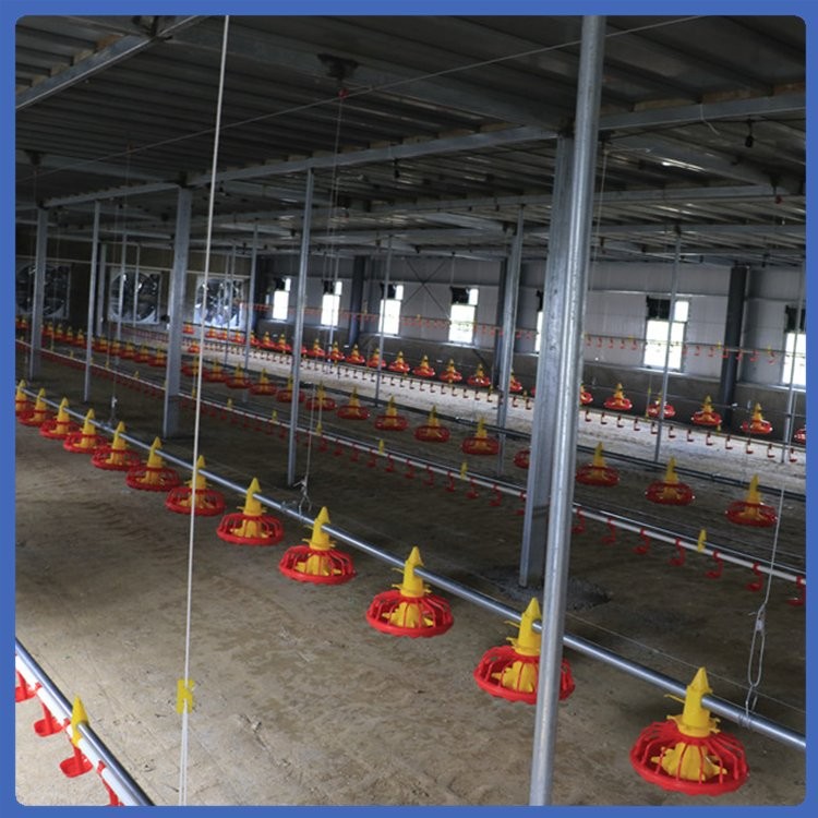 養(yǎng)雞水線 喂養(yǎng)設(shè)備 不易變形 發(fā)貨較快 拆裝簡便