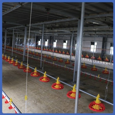 養(yǎng)雞水線 喂養(yǎng)設(shè)備 不易變形 發(fā)貨較快 拆裝簡(jiǎn)便