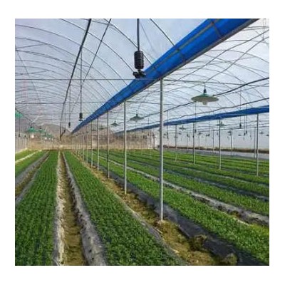 福州雨順灌溉設備廠家-福州果園自動打藥設備（面議）