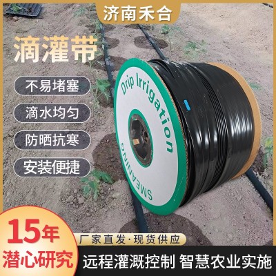 貼片滴灌帶小流量滴灌管雙孔滴管帶玉米單產(chǎn)提升農(nóng)用灌溉滴灌帶