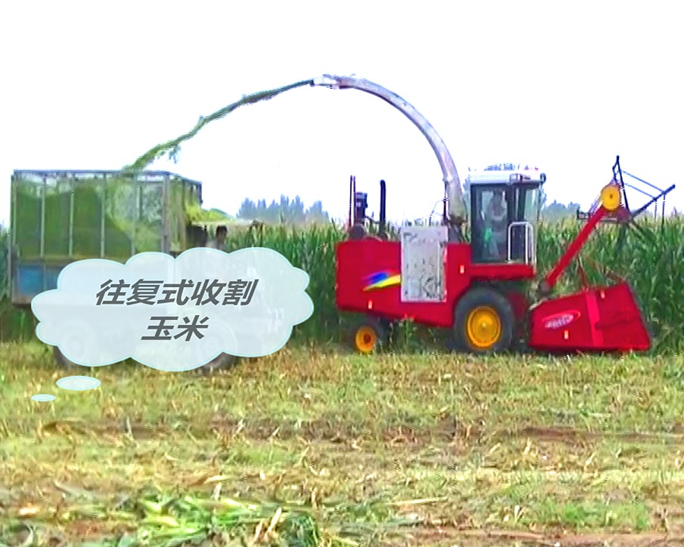 往復(fù)式收割玉米_看圖王 往復(fù)式收割玉米_看圖王.jpg