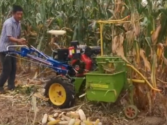農民大叔發明的玉米收獲機，1天可耕地50畝，300塊錢直接造一臺！